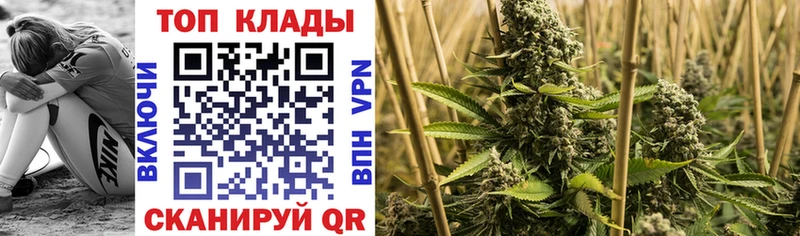 Магазины продажи наркотиков Нефтекамск Псилоцибиновые грибы  КОКАИН  Alpha PVP  АМФЕТАМИН  Мефедрон  Каннабис 
