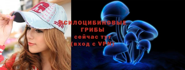 apvp Алексин